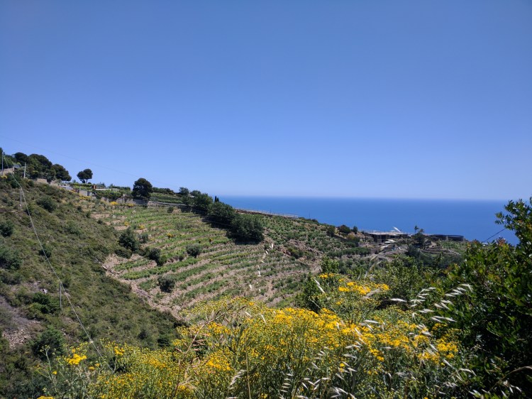 IMG_20190605_143231.jpg