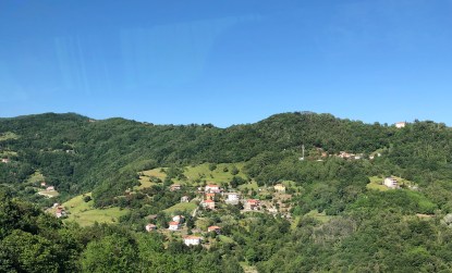 IMG_3892